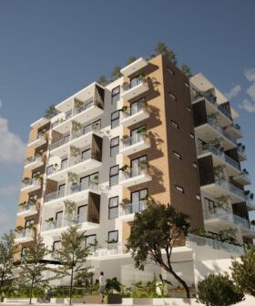 Athenea 15