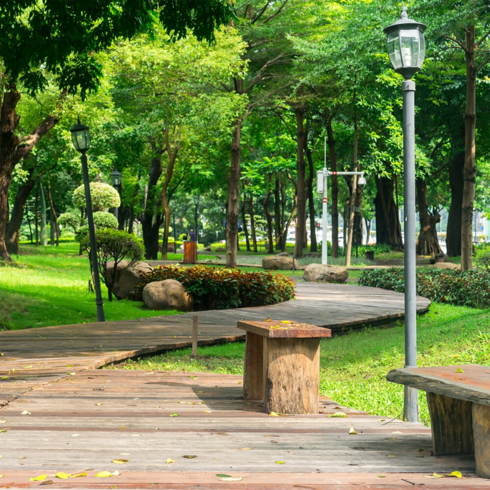 Amenidades en Alba 18