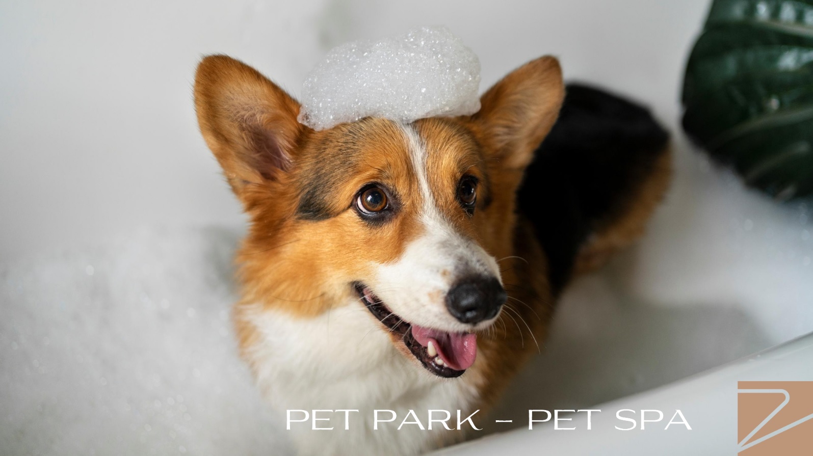 Amenidades de Valtaro